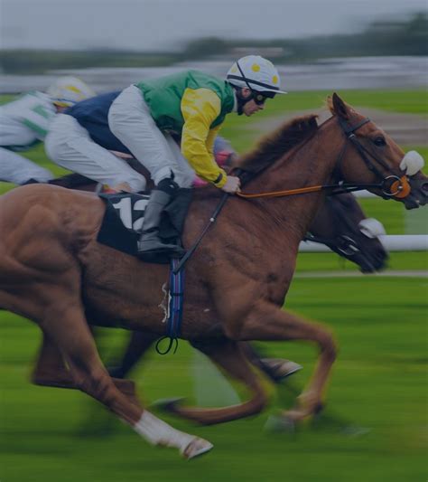 horse racing bet|Best sites for horse racing statistics, data, form, and more.